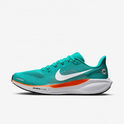 Miami Dolphins Pegasus 41