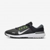 Nike Free Golf NN
