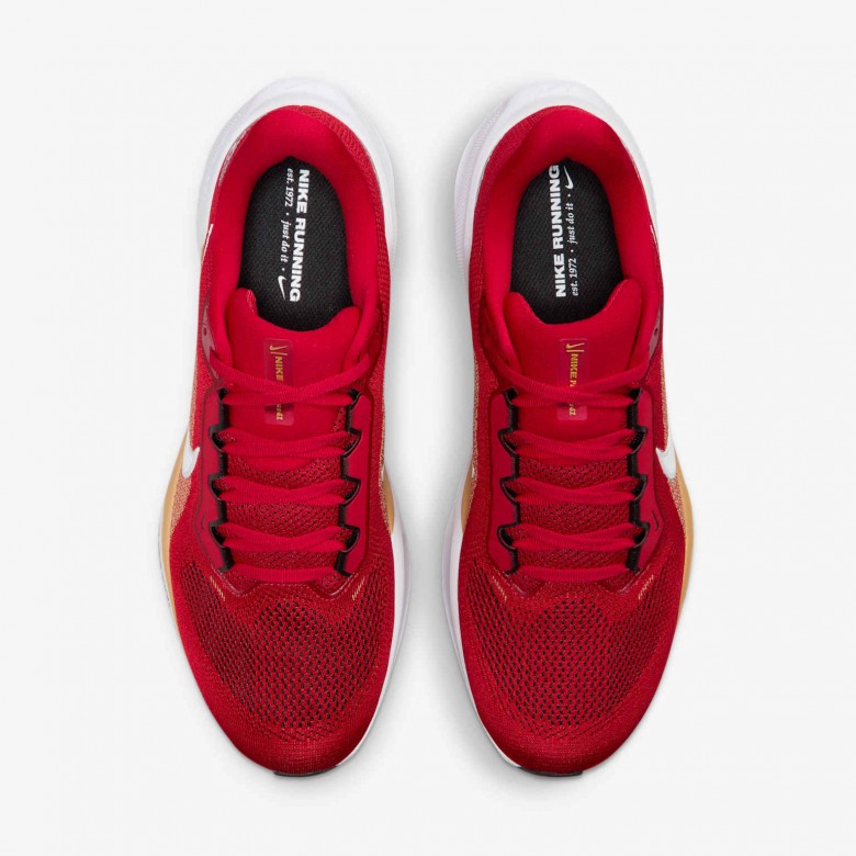 San Francisco 49ers Pegasus 41 San Francisco 49ers Pegasus 41