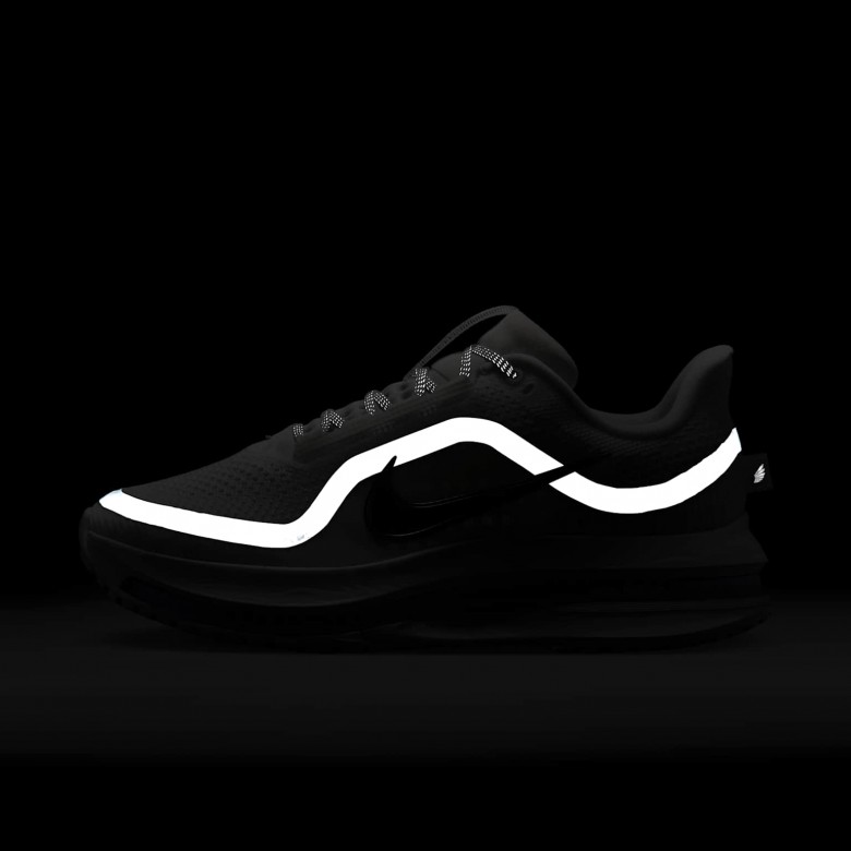 Nike Pegasus Premium Nike Pegasus Premium