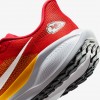 Kansas City Chiefs Pegasus 41